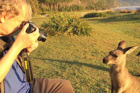 Highlights Of The Eurobodalla (half Day Private Tour) - Events Australia 2