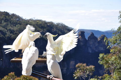 Private Blue Mountains Tour - Tourism Bookings 2