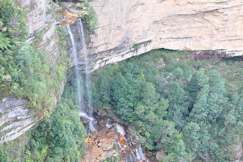 Private Blue Mountains Tour - Tourism Bookings 11