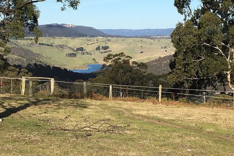 Interactive Farm Tours On A Beef, Lamb And Duck Farm - Tourism Bookings 5
