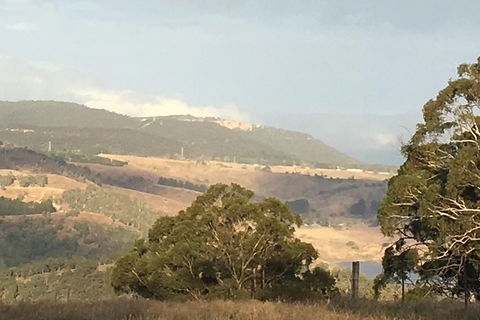 Interactive Farm Tours On A Beef, Lamb And Duck Farm - Tourism Bookings 1