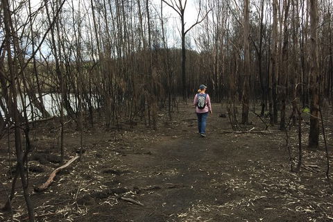 Fishermans Paradise Eco-walk - Events Australia 5