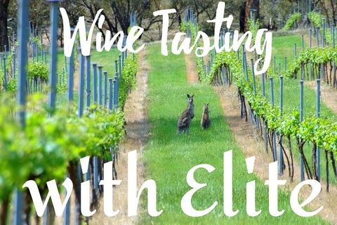 Six Hour - Plan Your Own Wine And Cheese Tour Hunter Valley - Events Australia 7