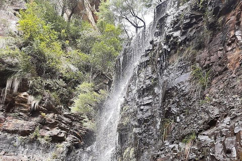 Blue Mountains Full Day Nature Tour For Four - Tourism Bookings 1