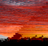 Private Full-Day Wine Tour in Hunter Valley - Events Australia