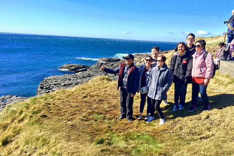 Southern Highlands & South Coast All Inclusive Private Tour From Sydney - Events Australia 3