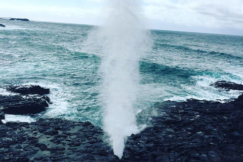 Southern Highlands & South Coast All Inclusive Private Tour From Sydney - Events Australia 4