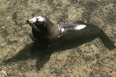 South Coast Photography Field Day - Events Australia 5