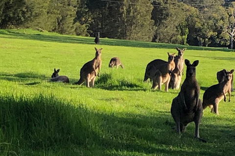 South Coast Photography Field Day - Events Australia 6