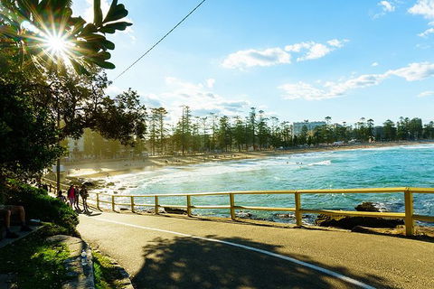 Sydney With Bondi And Beaches Essentials Private Day Tour - Accommodation Europe 8