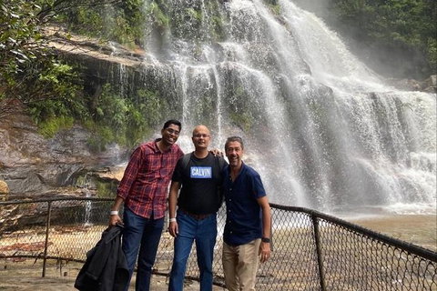 Blue Mountains Highlights & Wildlife Park - Accommodation Europe 4