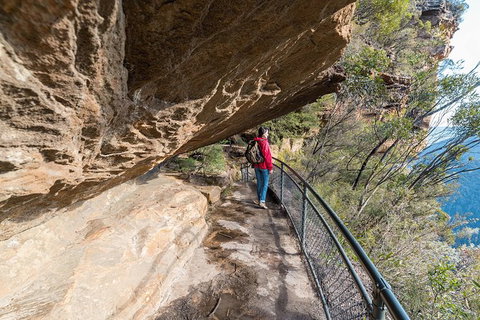 Blue Mountains Highlights & Wildlife Park - Accommodation Europe 0