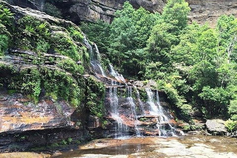 Blue Mountains Highlights & Wildlife Park - Accommodation Europe 8