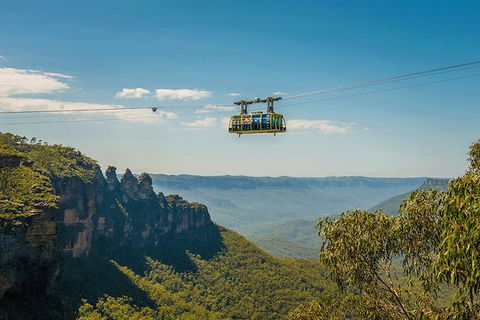 Blue Mountains Highlights, Wildlife Park And Scenic World Full Day Private Tour - Tourism Bookings 0