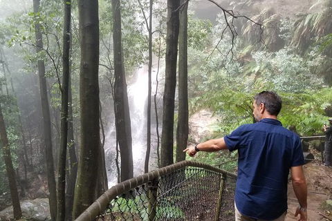 Blue Mountains Highlights, Wildlife Park And Scenic World Full Day Private Tour - Tourism Bookings 6
