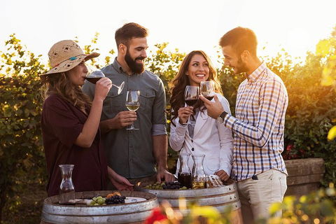 Hunter Valley Highlights Private Wine Tour From Sydney - Accommodation Europe 0