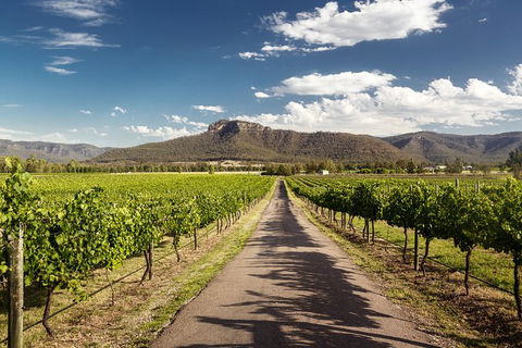 Hunter Valley Highlights Private Wine Tour From Sydney - Accommodation Europe 2