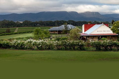 Hunter Valley Highlights Private Wine Tour From Sydney - Accommodation Europe 5