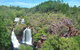 ETHICAL ADVENTURES - Dry Season Litchfield Region, Max 10 Guests - thumb 4