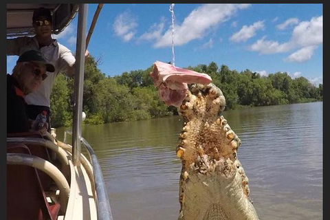 Pathfinder Jumping Crocodile Cruise Shuttle Bus - Events Australia 7