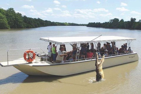Pathfinder Jumping Crocodile Cruise Shuttle Bus - Events Australia 1