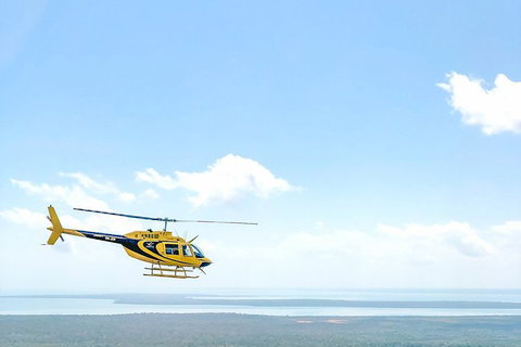 Darwin Cyclone 30 Minutes Private Helicopter Tour - Events Australia 3