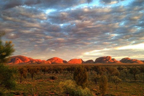 5-Hour Kata Tjuta Sunrise Tour From Ayers Rock With Breakfast - Events Australia 0