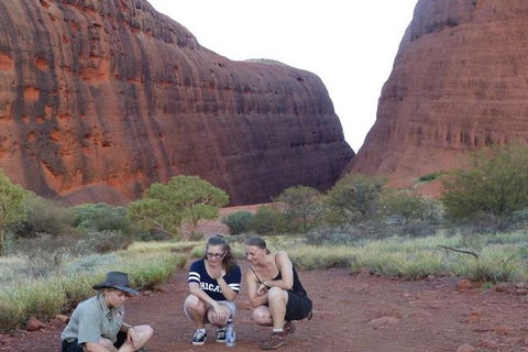 5-Hour Kata Tjuta Sunrise Tour From Ayers Rock With Breakfast - Events Australia 3