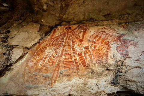Arnhem Land Injalak Hill Full-Day Tour From Darwin - Events Australia 1