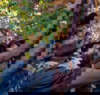 Arnhem Land Injalak Hill Full-Day Tour from Darwin - Events Australia