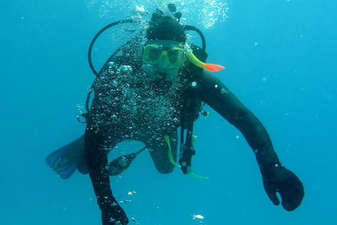 Seastar Luxury Outer Great Barrier Reef Island And Reef Tour From Cairns - Events Australia 1