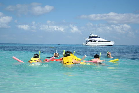 Seastar Luxury Outer Great Barrier Reef Island And Reef Tour From Cairns - Events Australia 2