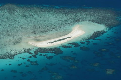 Seastar Luxury Outer Great Barrier Reef Island And Reef Tour From Cairns - Events Australia 5