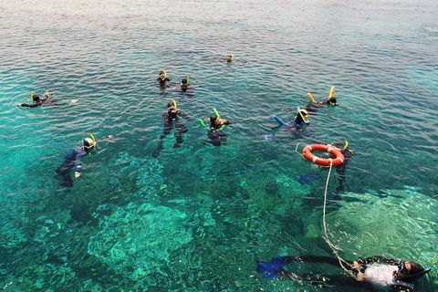 Seastar Luxury Outer Great Barrier Reef Island And Reef Tour From Cairns - Events Australia 7