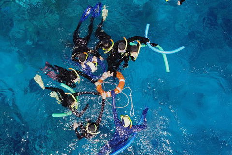 Seastar Luxury Outer Great Barrier Reef Island And Reef Tour From Cairns - Events Australia 6