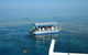 Seastar Luxury Outer Great Barrier Reef Island And Reef Tour From Cairns - thumb 3