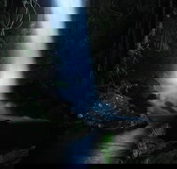 Mt Tamborine National Park 4WD Nocturnal Rainforest and Glow Worm Tour - Events Australia