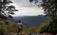 Small Group Gold Coast Mountain Tour: Springbrook National Park And Mt Tamborine - thumb 6