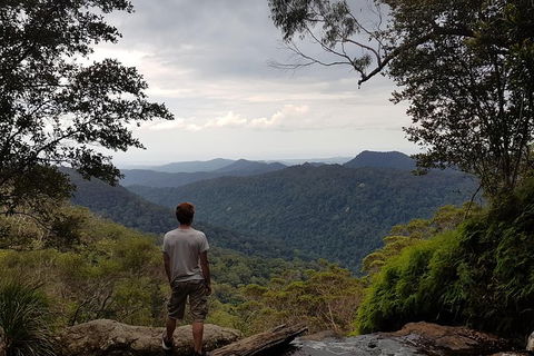 Small Group Gold Coast Mountain Tour: Springbrook National Park And Mt Tamborine - Events Australia 6