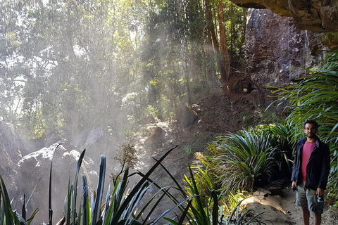 Small Group Gold Coast Mountain Tour: Springbrook National Park And Mt Tamborine - Events Australia 7