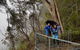 Small Group Gold Coast Mountain Tour: Springbrook National Park And Mt Tamborine - thumb 1