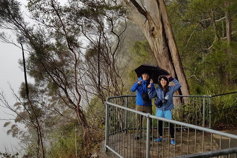 Small Group Gold Coast Mountain Tour: Springbrook National Park And Mt Tamborine - Events Australia 1