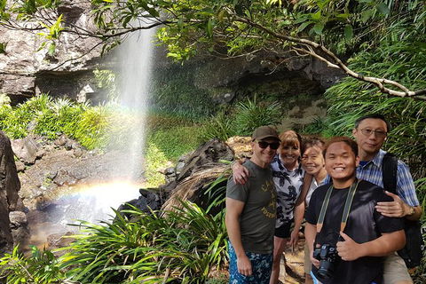 Small Group Gold Coast Mountain Tour: Springbrook National Park And Mt Tamborine - Events Australia 0