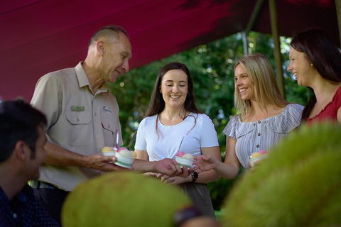 Daintree And Cape Tribulation Tour From Cairns - Events Australia 1