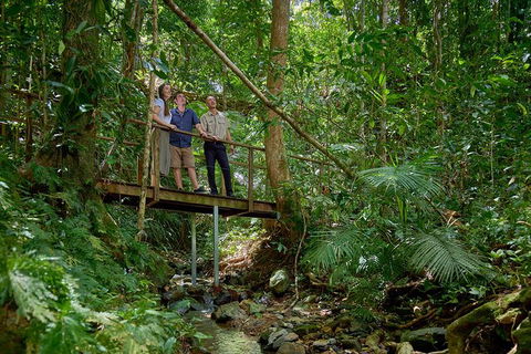 Daintree And Cape Tribulation Tour From Cairns - Events Australia 3