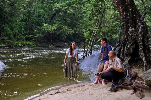Daintree And Cape Tribulation Tour From Cairns - Events Australia 2