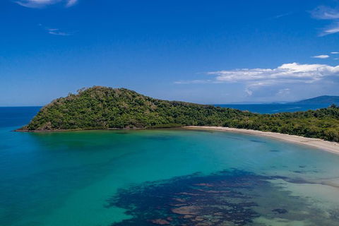 Daintree And Cape Tribulation Tour From Cairns - Events Australia 7