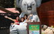 Kuranda Koala Gardens And Birdworld Admission Tickets - thumb 1