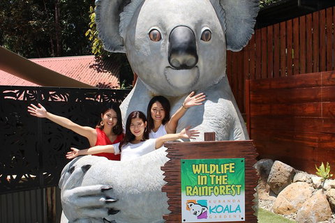 Kuranda Koala Gardens And Birdworld Admission Tickets - Events Australia 1