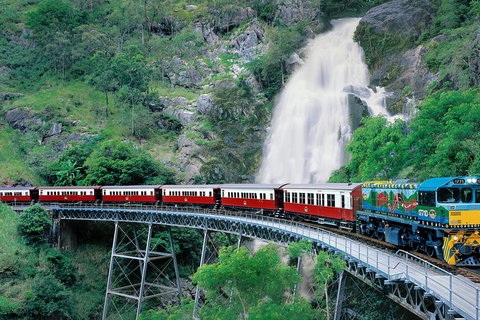 Kuranda Day Trip From Cairns By Scenic Railway And Skyrail Including Army Duck Rainforest Tour - Events Australia 5